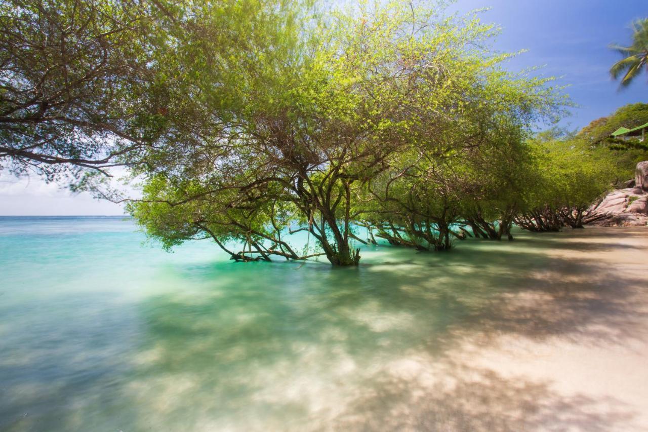 コー タオ リラックス フリーダム ビーチ リゾート タオ島 エクステリア 写真